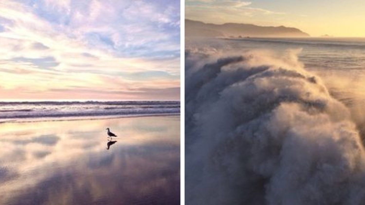 bay area places michelle grenier likes to shoot iphone photography workshop